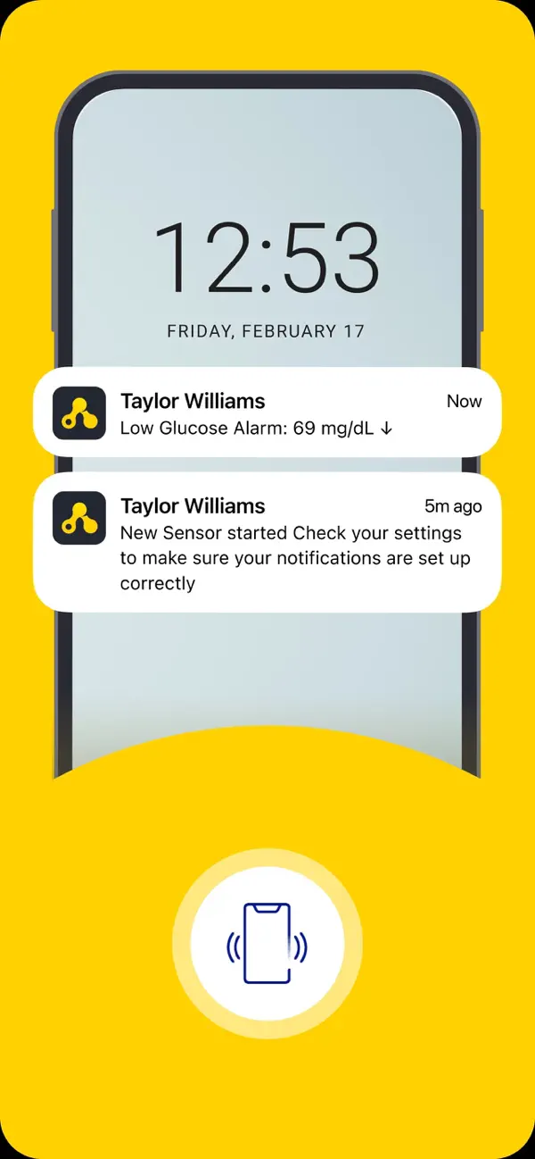 Ecran notificari LibreLinkUp
